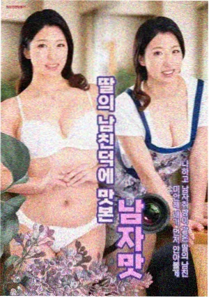 汪汪队第5季封面